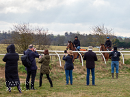 NH060322-30 - Nicky Henderson Stable Visit